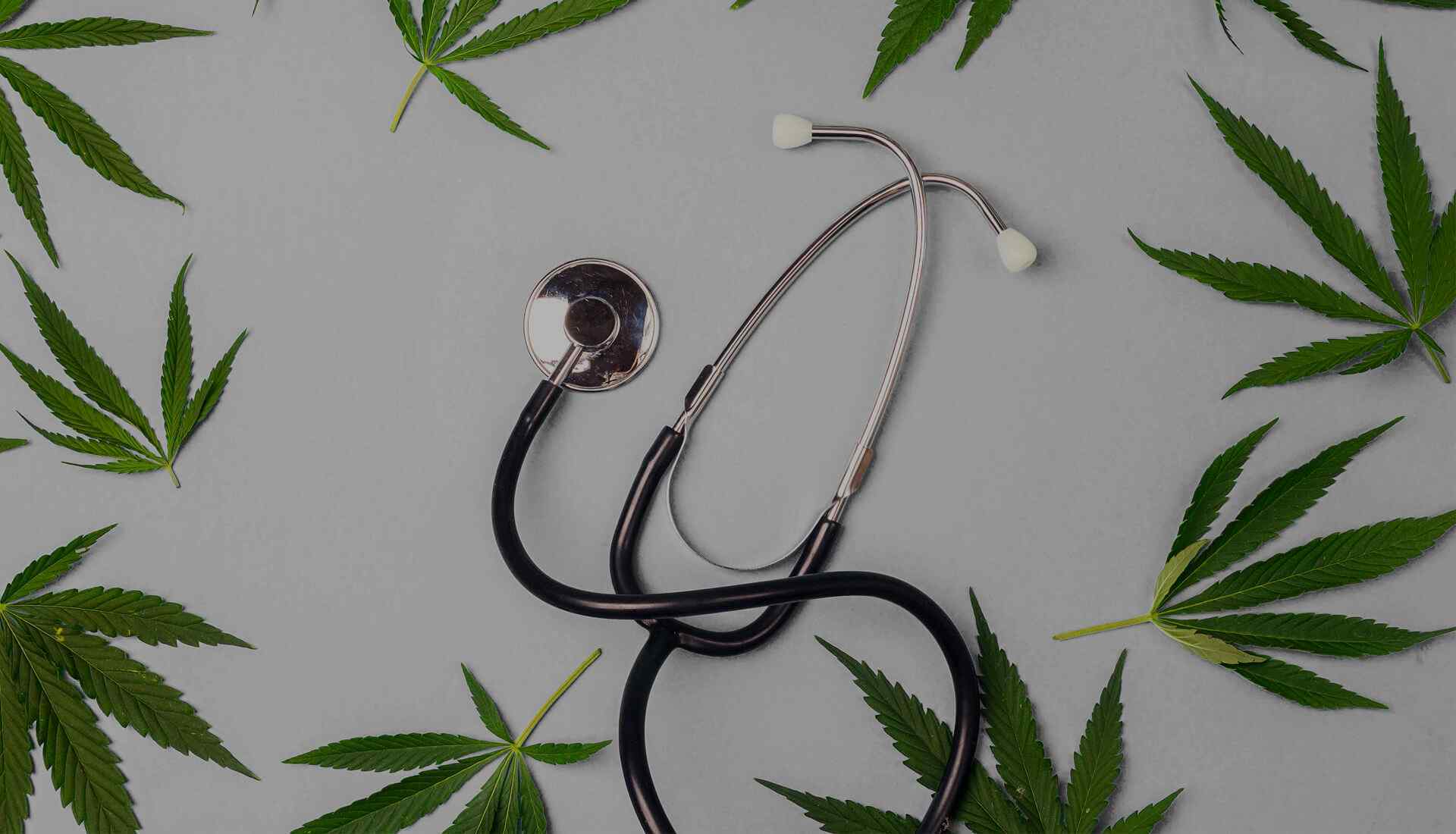 NHSOF MD marijuana doctors
